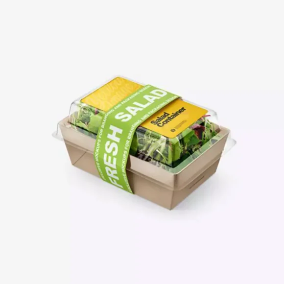 Fast Food Takeout Boxes - Image 4