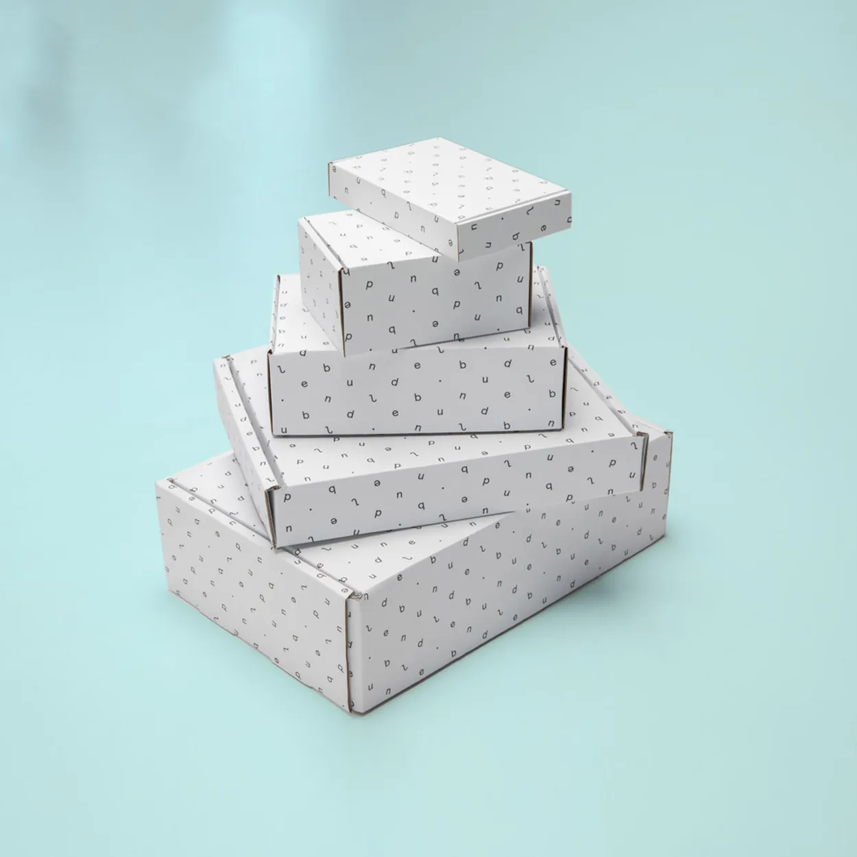 White Kraft Boxes