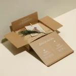 Subscription Box Packaging Solutions