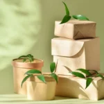Eco-Friendly Packaging Boxes